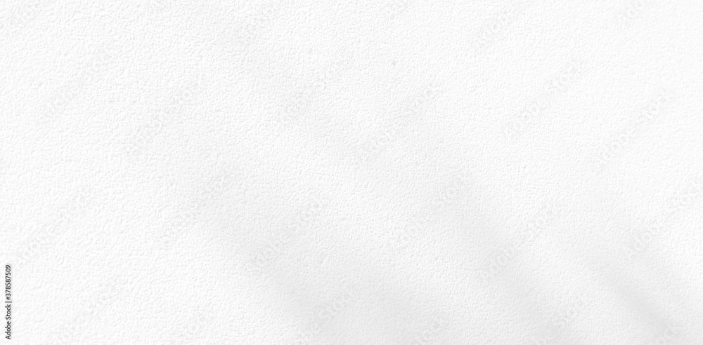 Abstract Shadow. blurred background. gray leaves that reflect concrete walls on a white wall surface for blurred backgrounds and monochrome wallpapers.
Abstract Shadow. blurred background. gray leaves that reflect concrete walls on a white wall surface for blurred backgrounds and monochrome wallpapers.