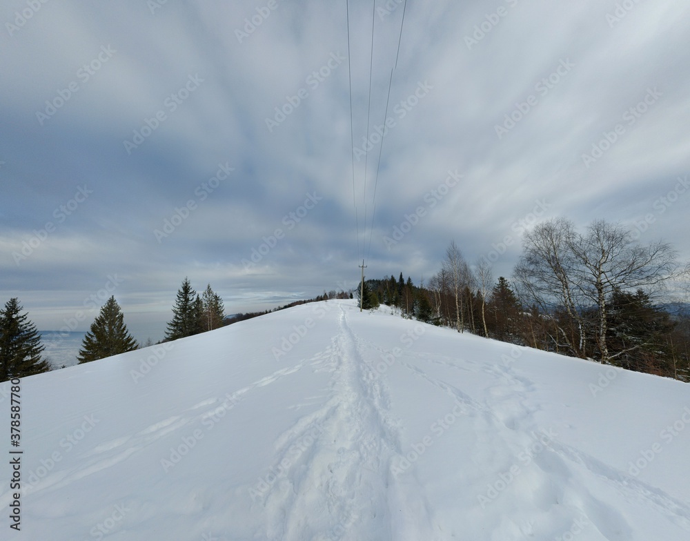 winter landscape in Carpathians