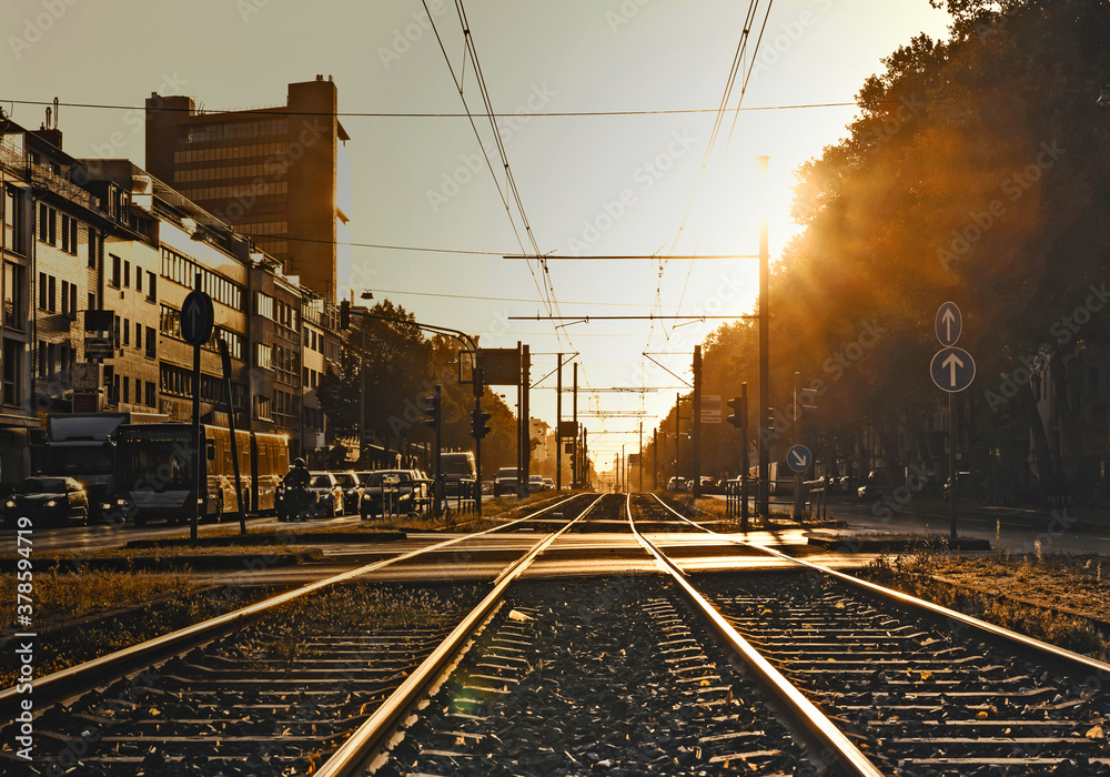 Fototapeta premium Railroad tracks and overhead lines of the city railroad in warm back light in the middle of a big city street.