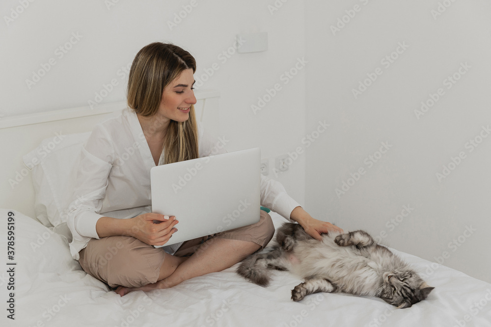 Young beautiful woman relaxing using laptop computer and stroking her gray Maine Coon cat in the bedroom. Working from home. Woman checking social apps. Online order food. Quarantine time. Freelancer Young beautiful woman relaxing using laptop computer and stroking her gray Maine Coon cat in the bedroom. Working from home. Woman checking social apps. Online order food. Quarantine time. Freelancer