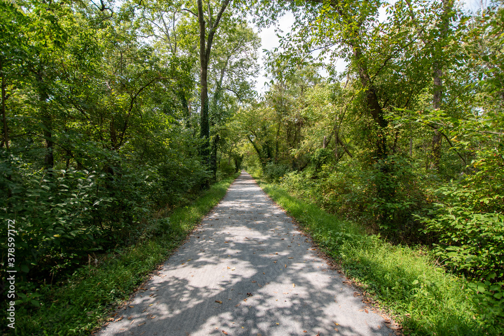 footpath in the park