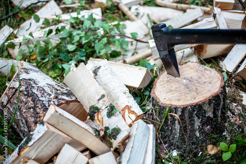 axe in the stump