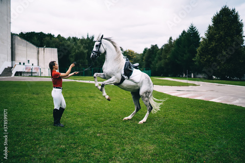 Caucasian female tamer training favourite stallion horse during weekend in country club for stunt dressage animals  young woman rider dressed in trendy clothing spending dat with mare champion