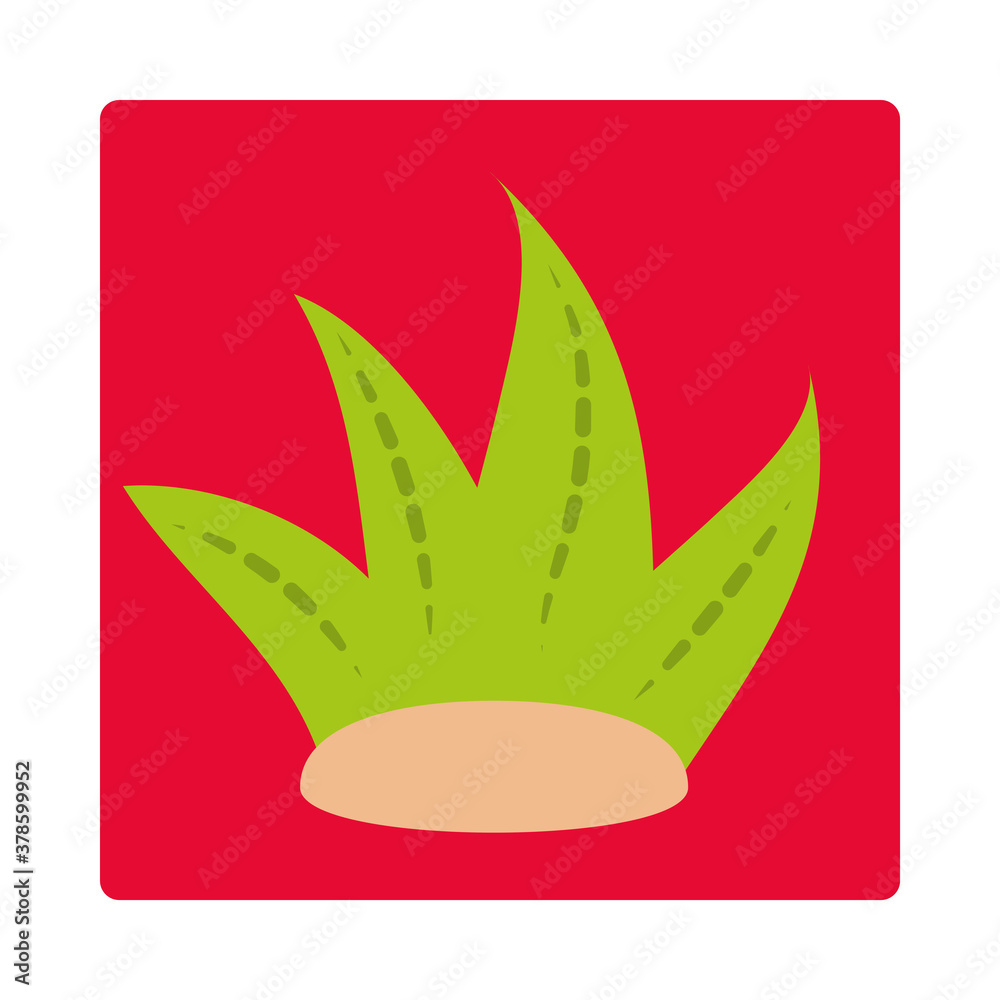 aloe vera plant nature icon block and flat aloe vera plant nature icon block and flat