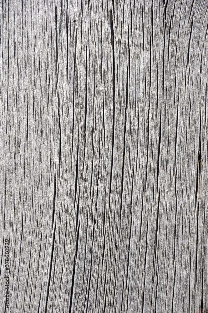 Fototapeta premium Old Gray Woodgrain background