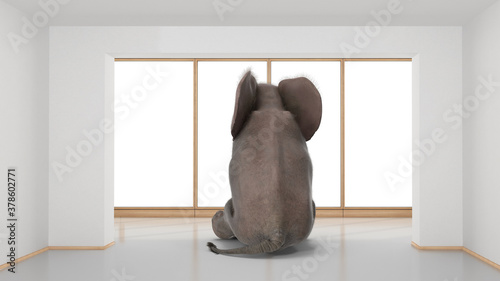 Elephant sitting in minimalist room