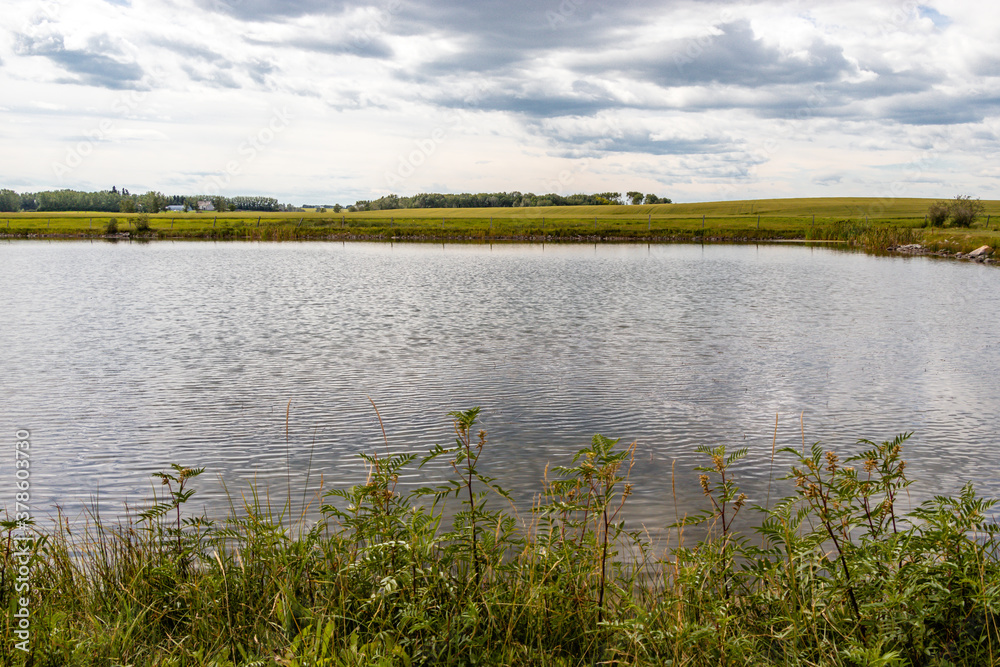 Fishing ponds and shorelines. Crossfield, Alberta, Canada