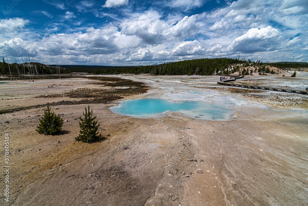Norris Geyser Basin, Yellowstone National Park Norris Geyser Basin, Yellowstone National Park