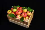 Sweet fragrant apples placed in a vintage box with leaves on a black background