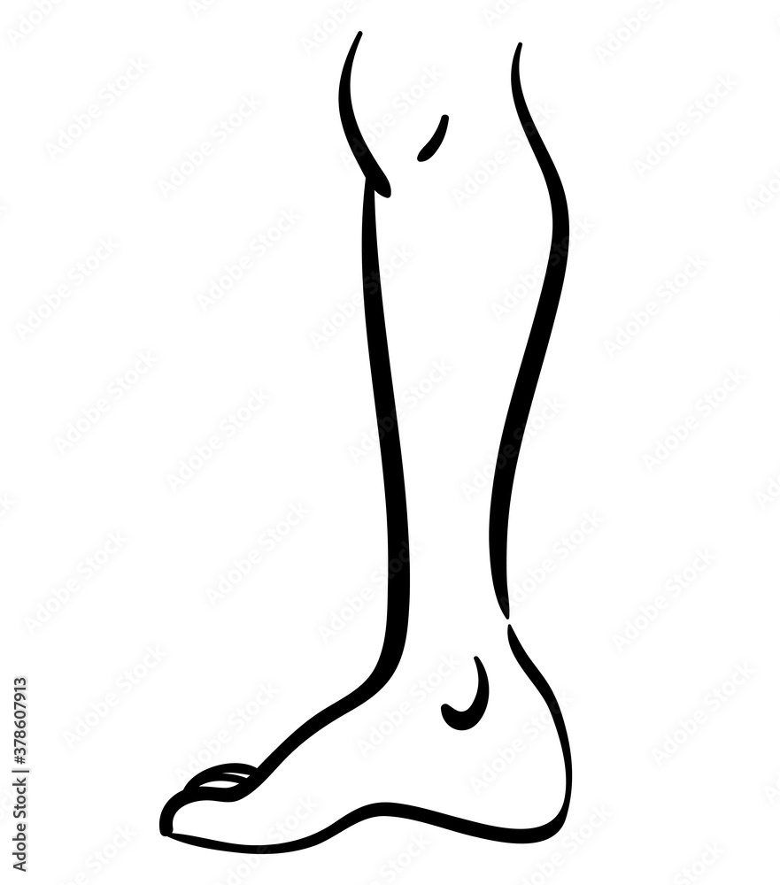 Black contour line illustration of thin leg Black contour line illustration of thin leg