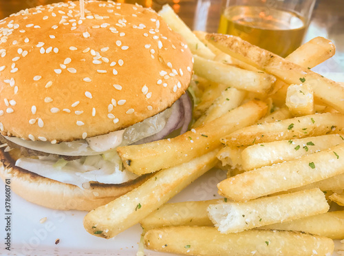 Burger and fries on plate photo