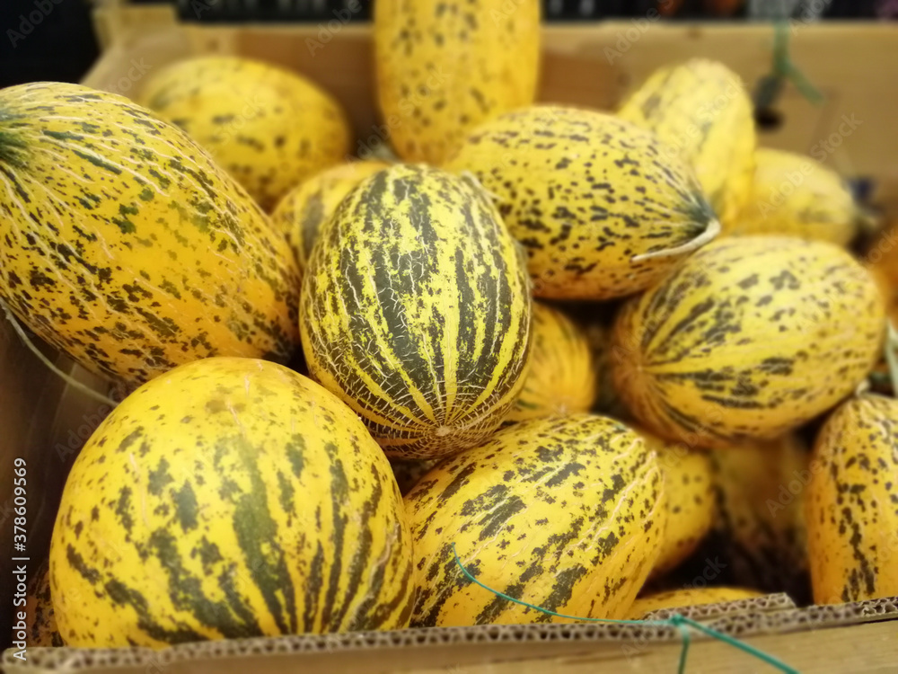 fresh and organic delicious, abundant vitamin melon