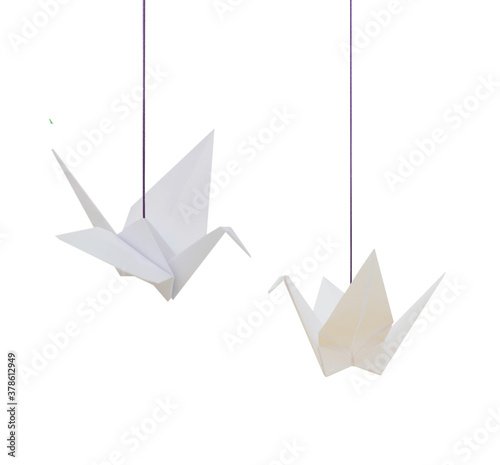 Fototapeta Naklejka Na Ścianę i Meble -  A hanging white origami cranes isolated white