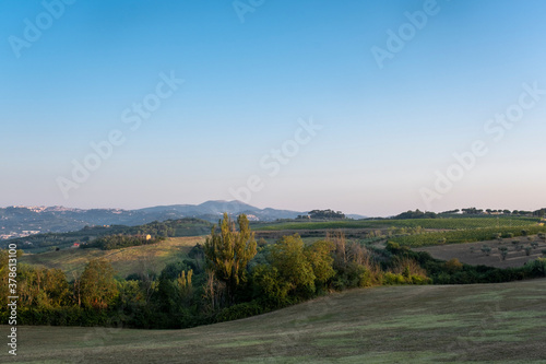 Tuscany, rural landscape in Crete Senesi land. Rolling hills, countryside farm, cypresses trees, green field on warm sunset. Siena, Italy