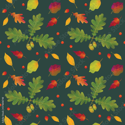 Seamless pattern colorful leaves, rowan berries, oak leaves and acorns. Autumn background with colorful autumn leaves. photo