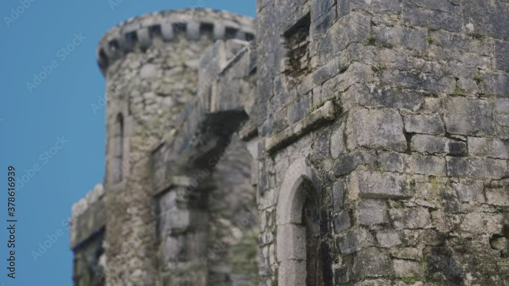 The amazing Menlo Castle in Ireland The amazing Menlo Castle in Ireland
