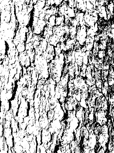 spruce bark