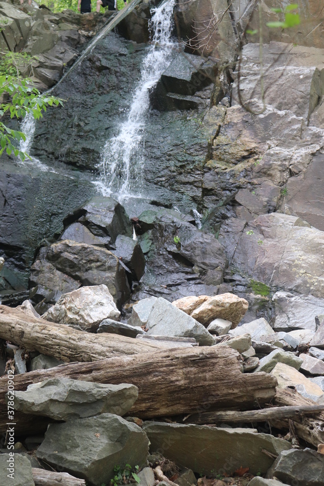 Fototapeta premium waterfall in the forest