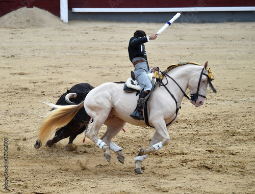 bullfighting with horse in a bullring in spain