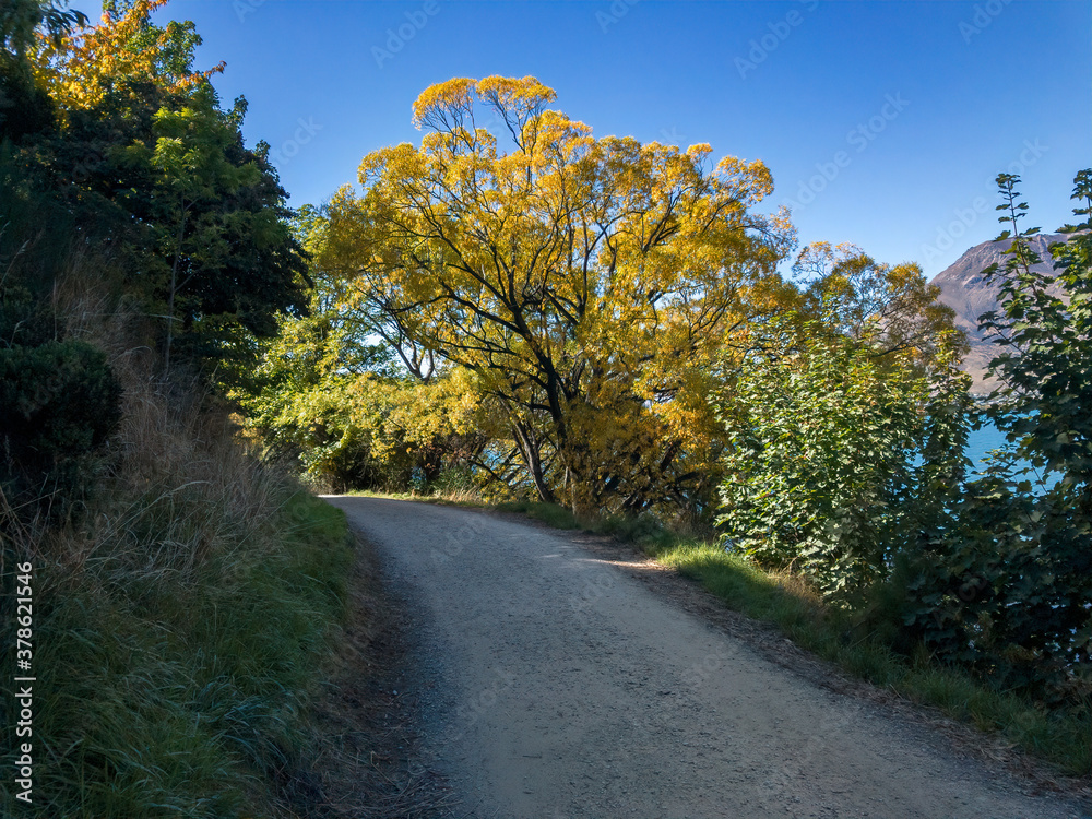 Obraz premium Frankton Track, New Zealand, South Island