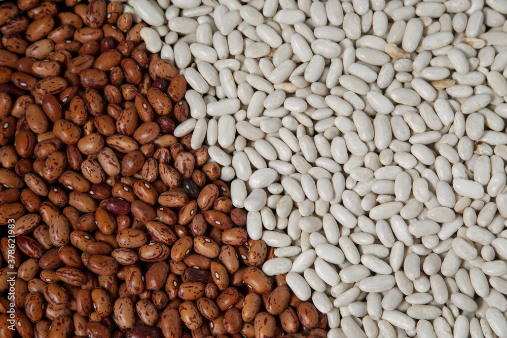 red and white dry beans close-up, background red and white dry beans close-up, background