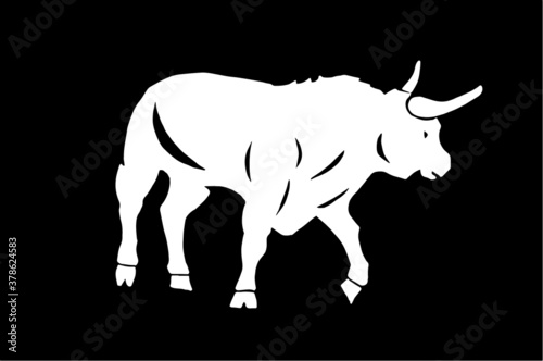 Vector white color ox isolated on black bacground  illustration
