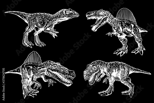 Graphical collection of dinosaurs isolated on black background, vector ilustration