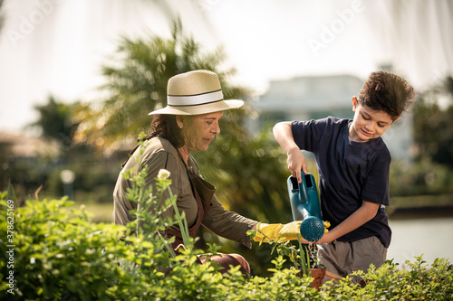 Jardinagem ensinado pelos avós photo