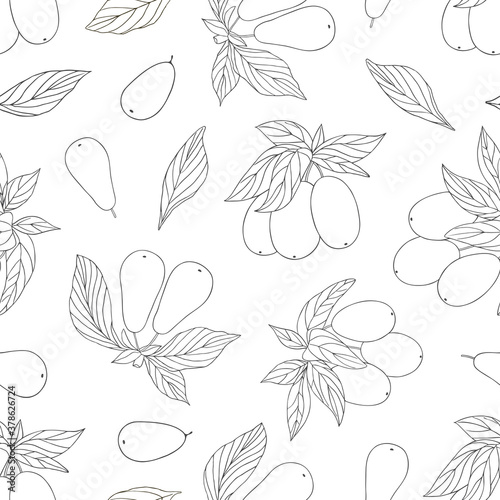 Organic collection.Vector hand drawn seamless pattern with a cornelian cherry plant