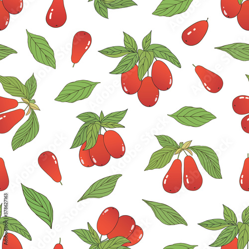 Organic collection.Vector hand drawn seamless pattern with a cornelian cherry plant
