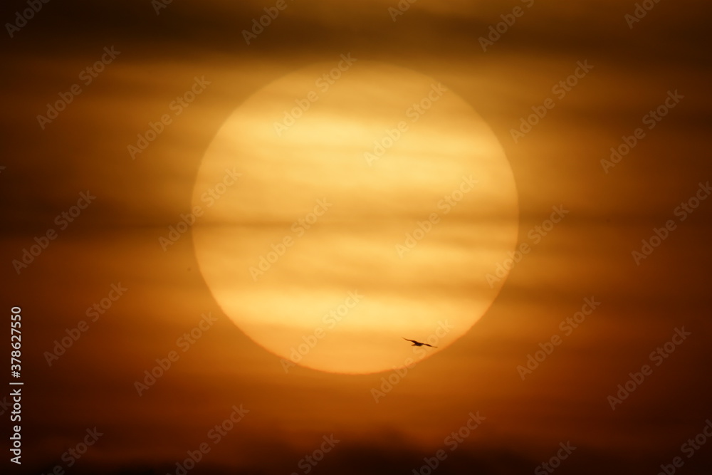 Obraz premium sunset