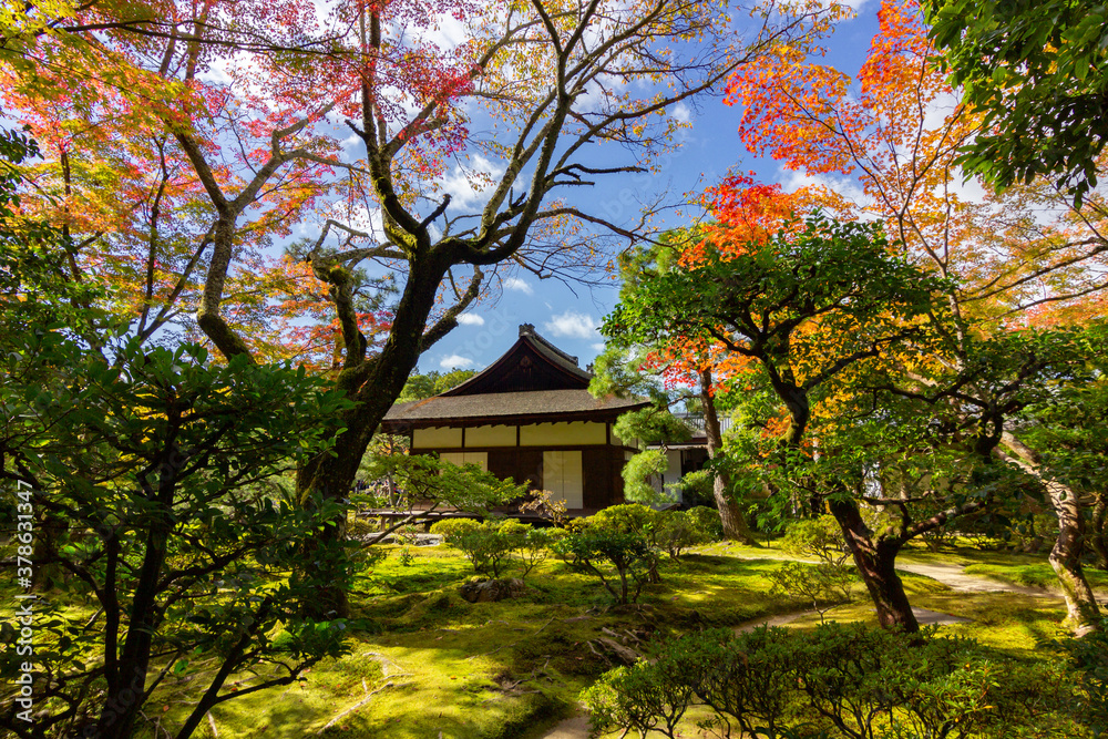 Temple surrounded of colored trees in Kyoto (Japan) Temple surrounded of colored trees in Kyoto (Japan)