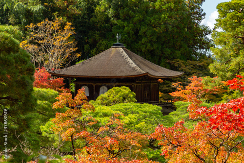 Temple surrounded of colored trees in Kyoto (Japan)