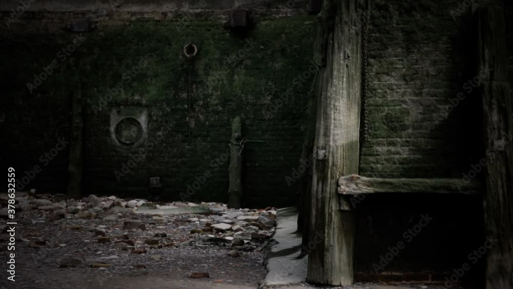 Old wall and stairs covered in moss
