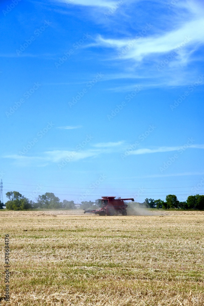Fototapeta premium A combine is seen harvesting wheat