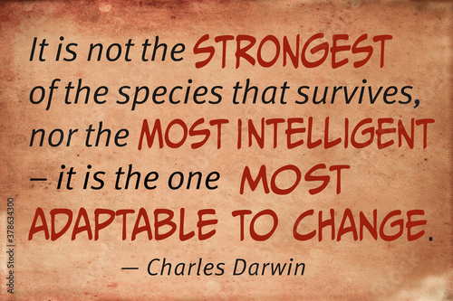 Fototapete Motivational quotation by Charles Darwin about changes in life and business saying that not the strongest people survives, nor the most intelligent