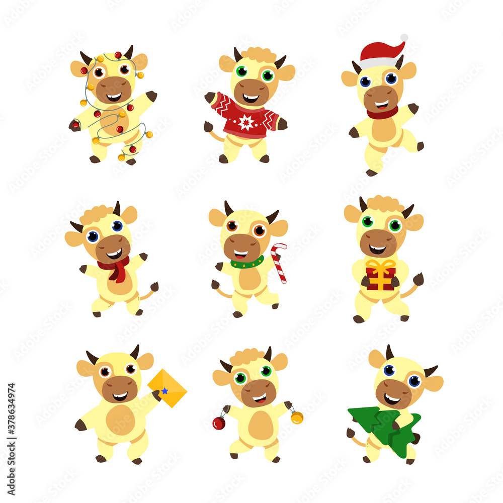 Naklejka premium Set cute winter bulls. Happy new year. Chinese new year symbol.Christmas card. 2021 year. Flat vector illustration