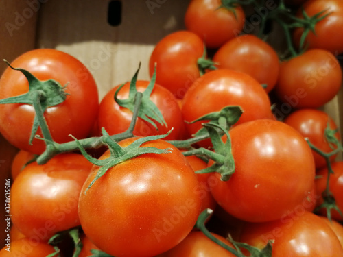 fresh and organic red tomatoes