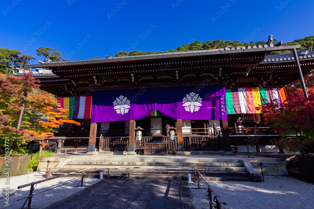 Fototapeta premium Beautiful multi colored garden in Kyoto (Japan)