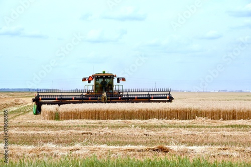 close up of a swather cutting Manitoba wheat