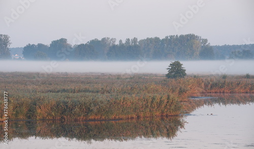Landscape near Stangenhagen, nature park Nuthe-Nieplitz, in the morning
