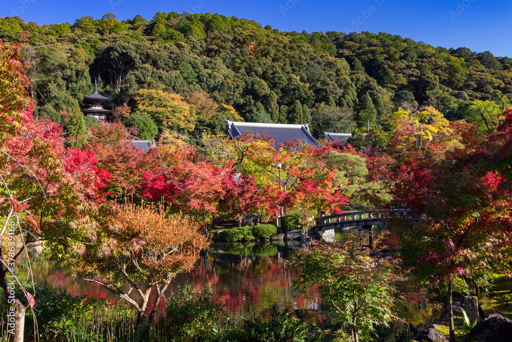 Fototapeta premium Beautiful multi colored garden in Kyoto (Japan)