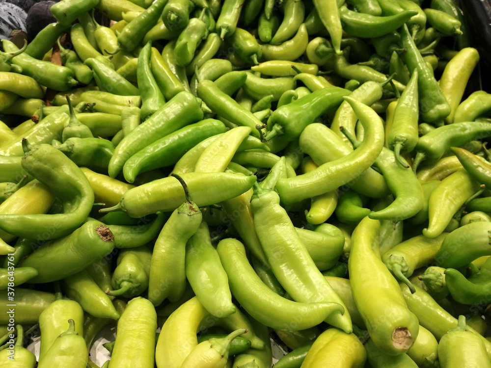 fresh and organic hot peppers