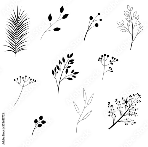 Set of drawn botany elements: leaves, flowers, twigs with berries. Template for decor invitations, flyers, cards Vector image. 