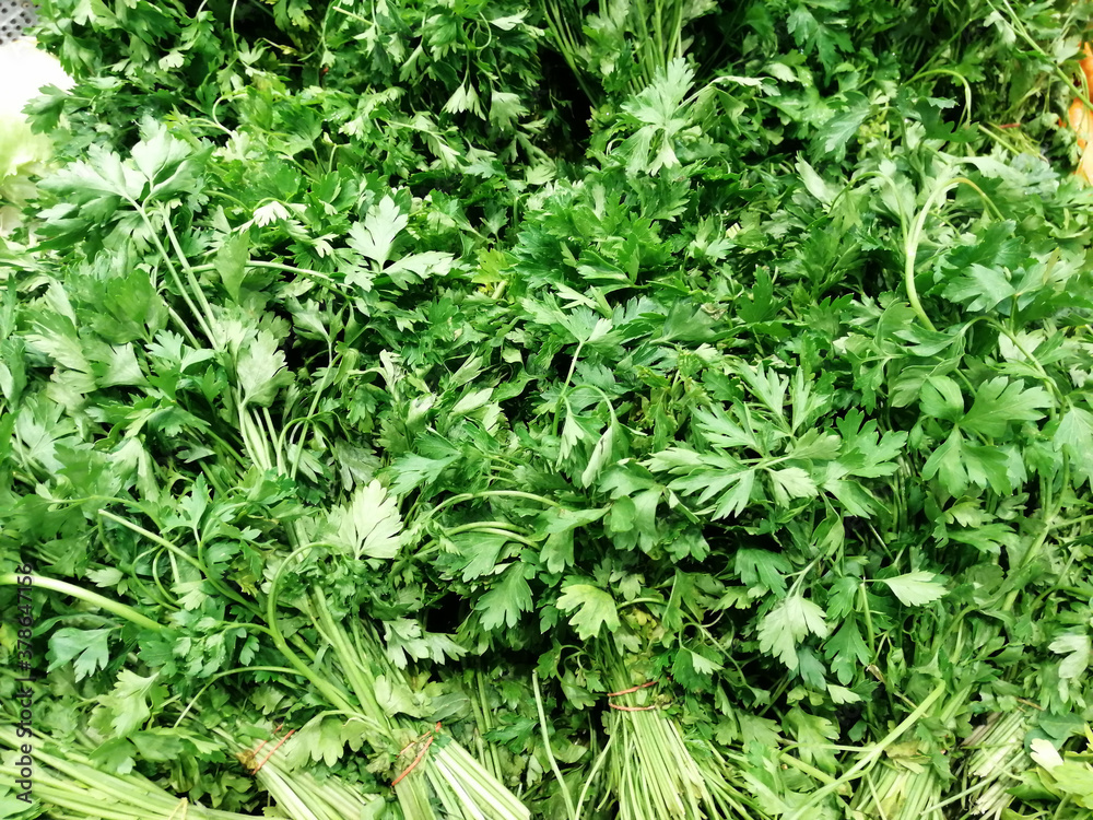 fresh and organic vitamin vegetables fresh and organic vitamin vegetables