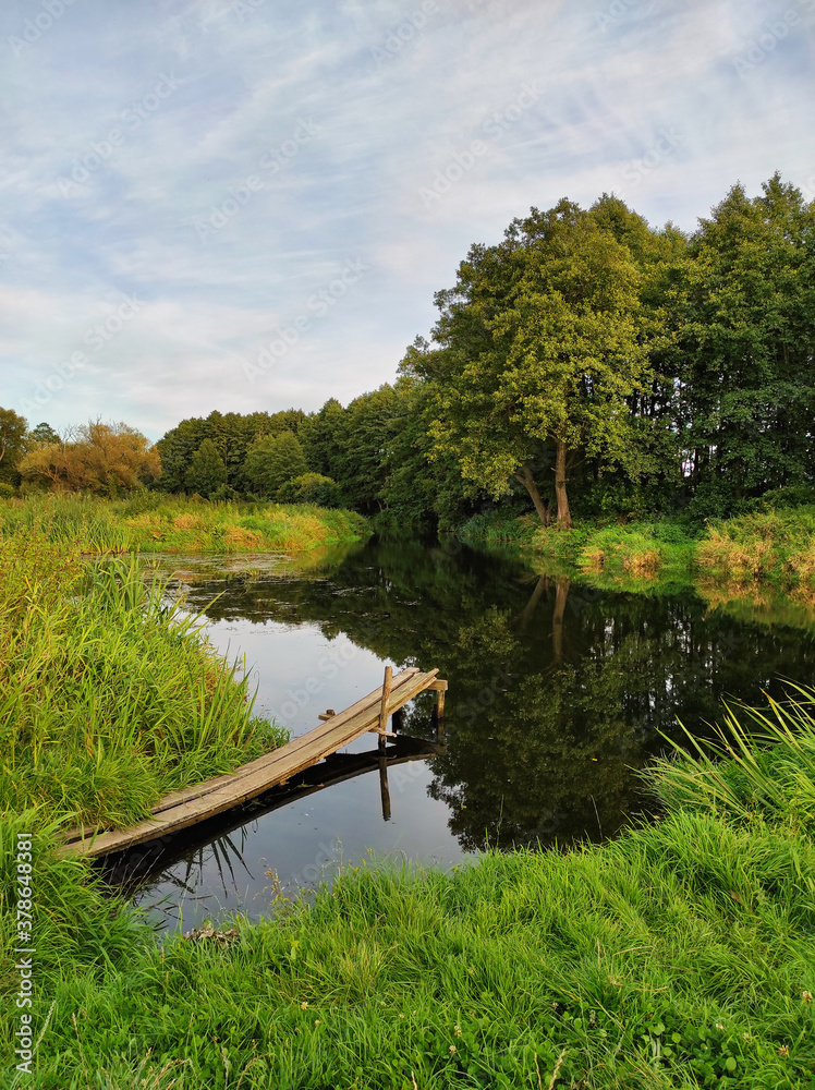Background with forest on riverbank. Place for fishing on creek.