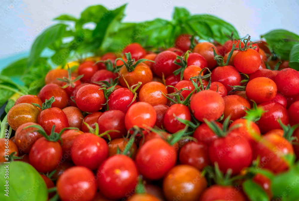 A bowl full of fresh cherry tomatoes.