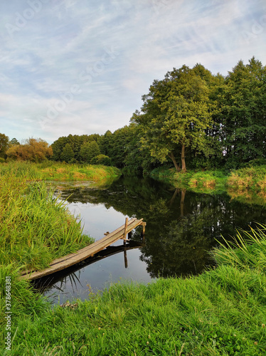 Obraz na płótnie Background with forest on riverbank. Place for fishing on creek. w salonie