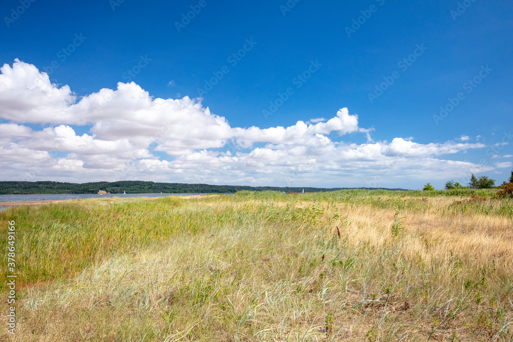 Clouds, Sand and grass by the sea in Denmark