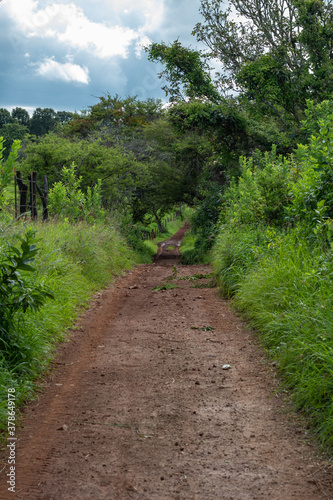 Camino del bosque © Hugo